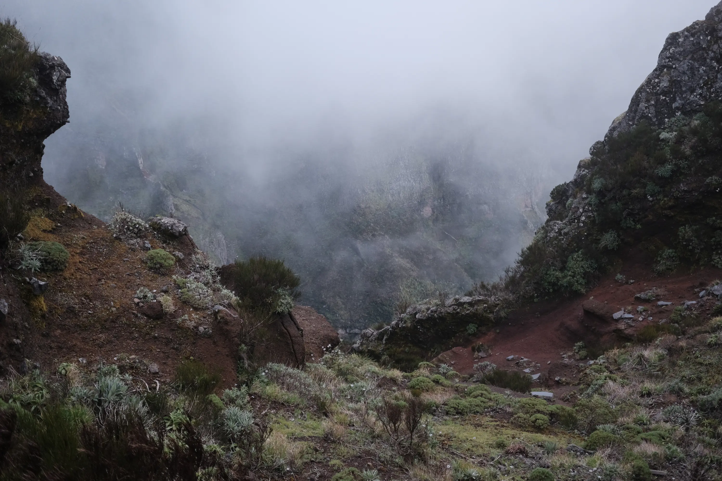 Mountain in Madeira, Portugal Shrouded in Fog